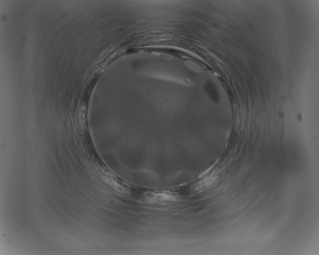 X0000070190475200605301317