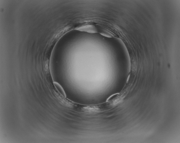 X0000070190477200605301317