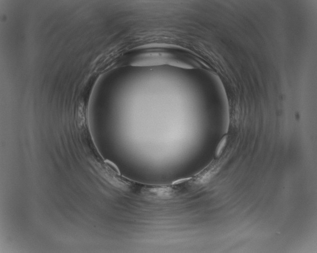 X0000070190478200605301317