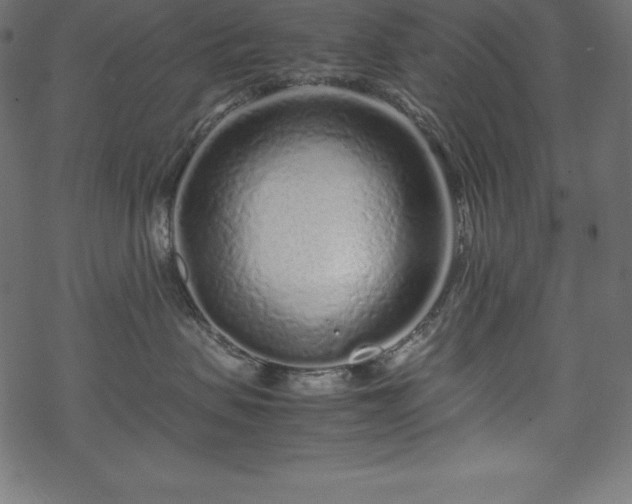 X0000070190479200605301317