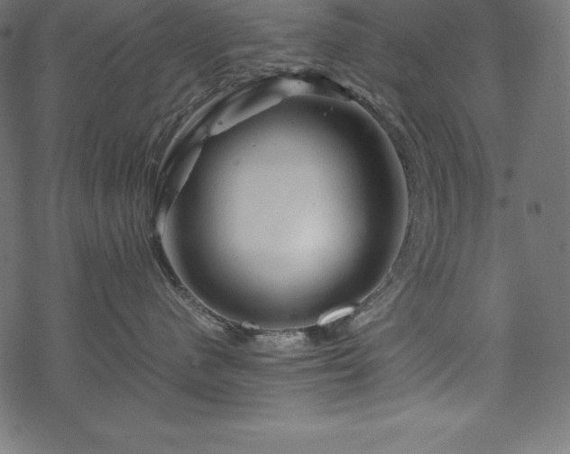 X0000070190480200605301317