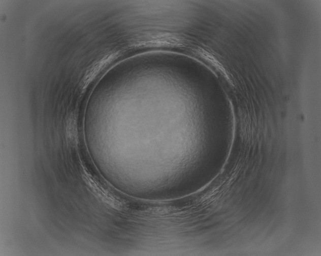 X0000070190482200605301316