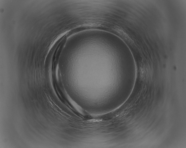 X0000070190484200605301316