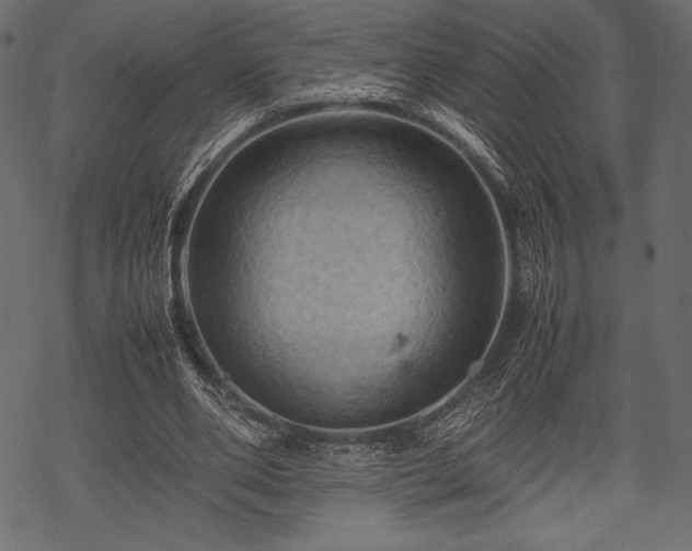 X0000070190486200605301316