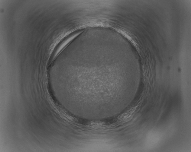 X0000070190487200605301316