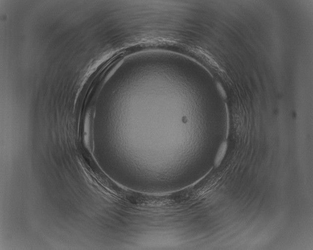 X0000070190488200605301316