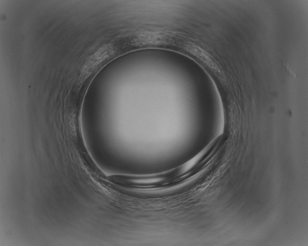 X0000070190489200605301316