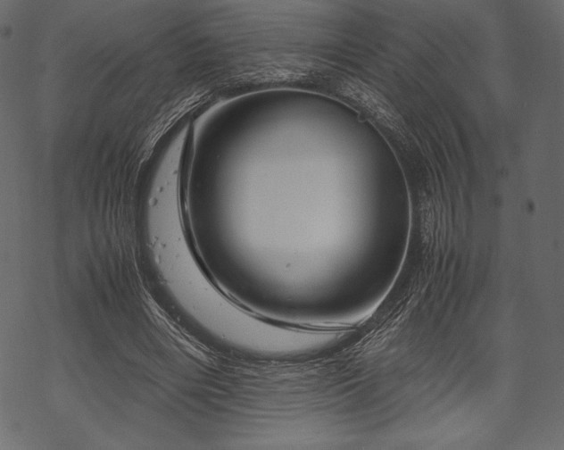 X0000070190490200605301316