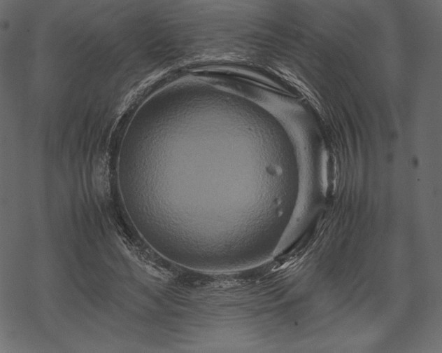 X0000070190492200605301316