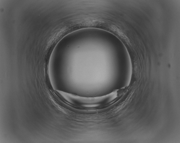 X0000070190493200605301316