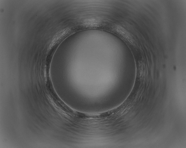 X0000070190494200605301316