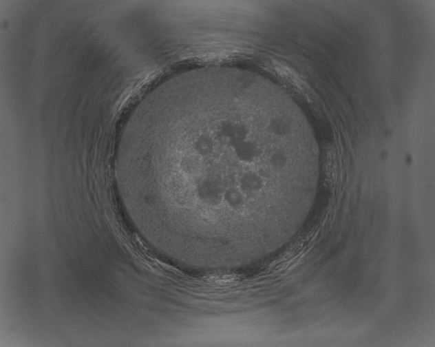 X0000070190495200605301316