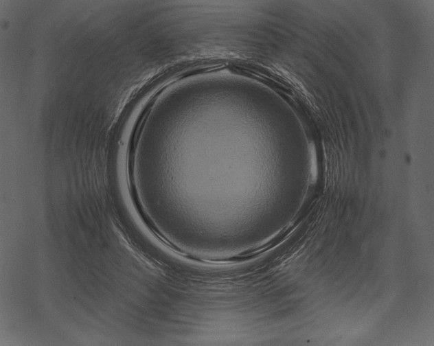 X0000070190496200605301316