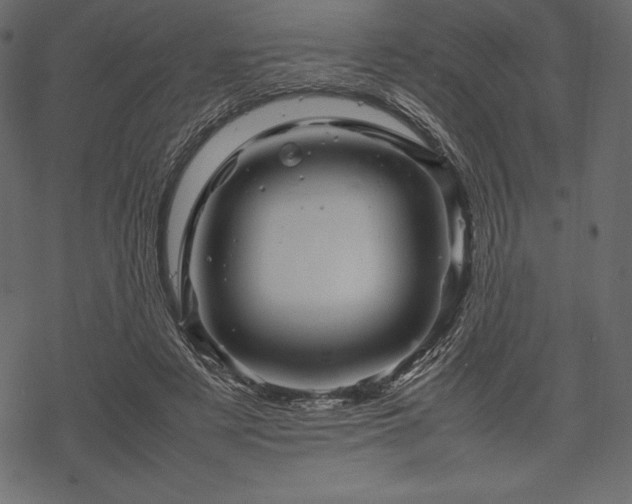 X0000070190497200605301316