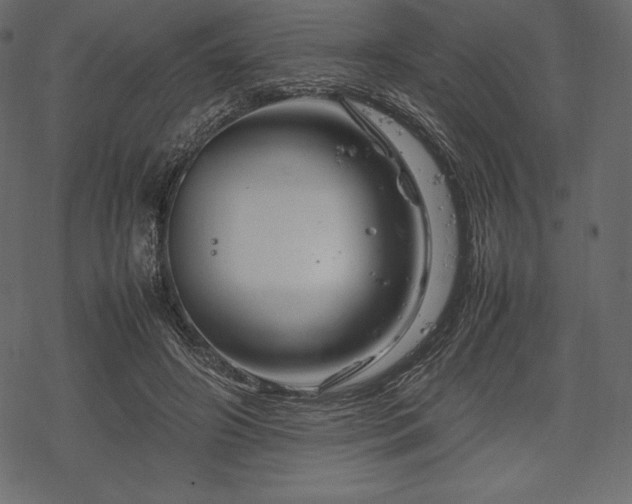 X0000070190498200605301316