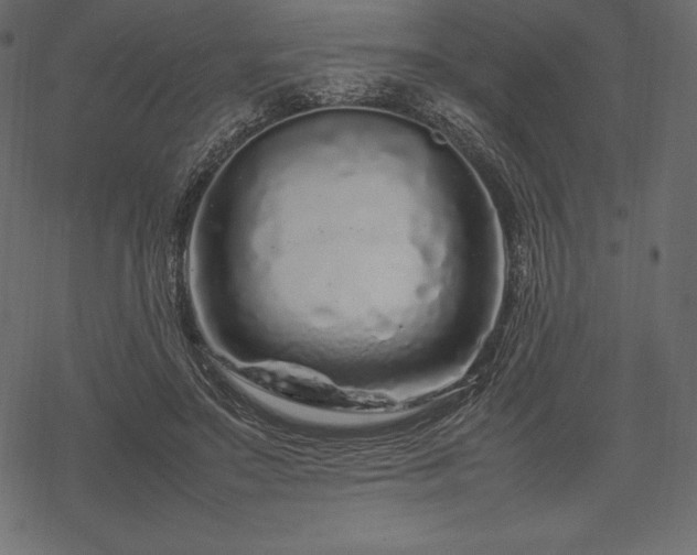 X0000070190499200605301316