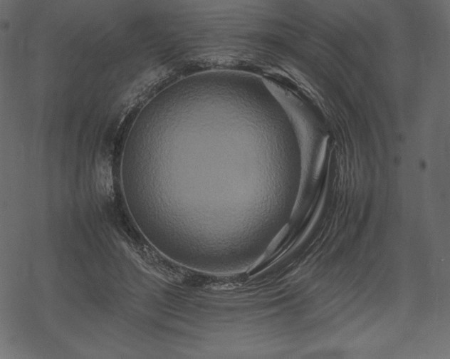 X0000070190500200605301316