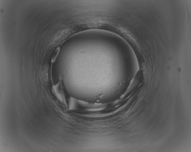 X0000070190501200605301316