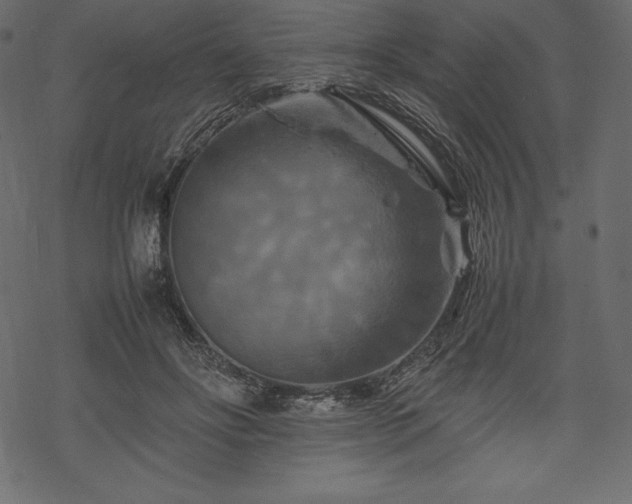 X0000070190502200605301316