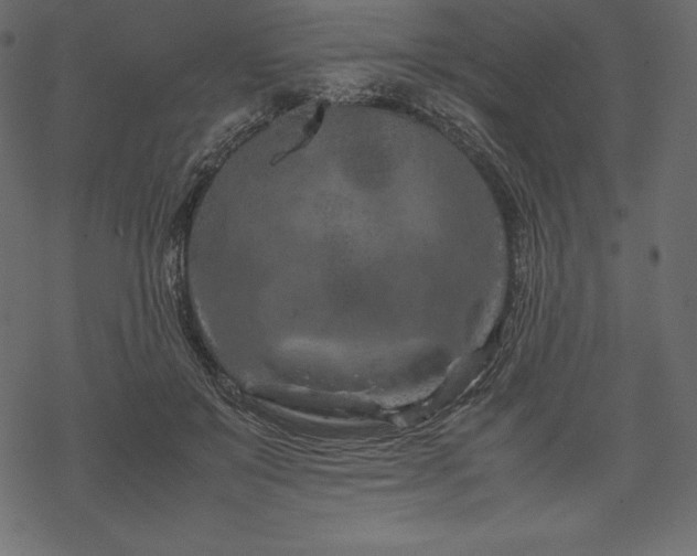 X0000070190503200605301316