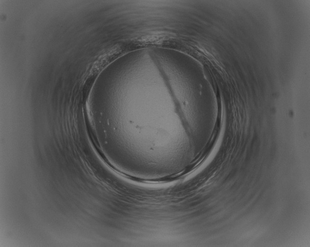 X0000070190504200605301316