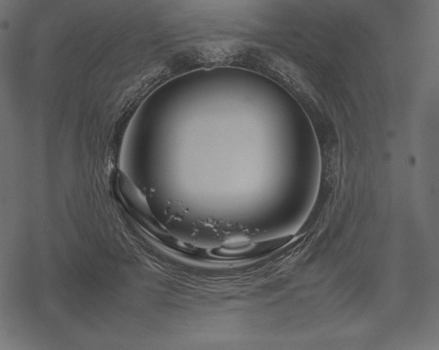 X0000070190505200605301316