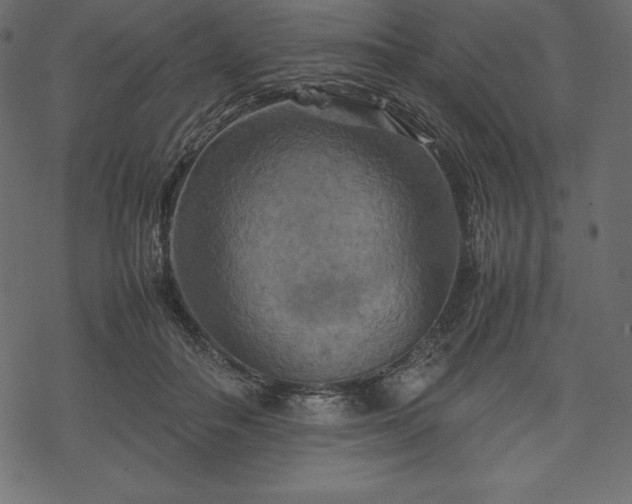 X0000070190506200605301316