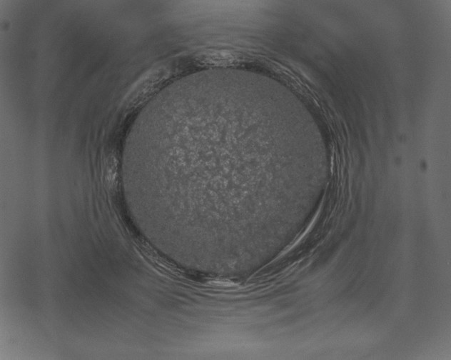 X0000070190507200605301316