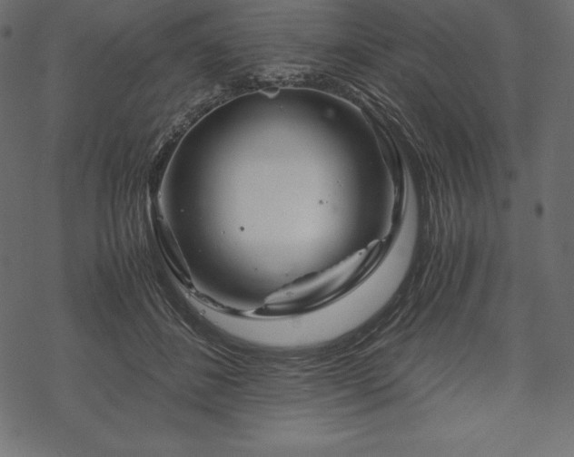 X0000070190508200605301316