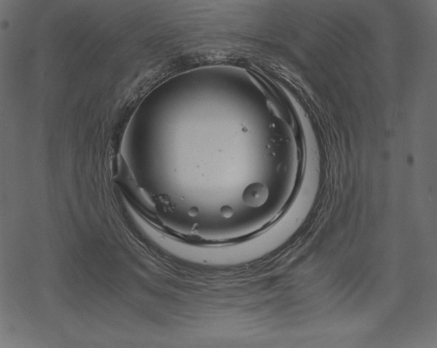 X0000070190509200605301316