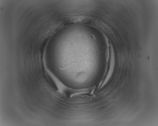 X0000070190510200605301316