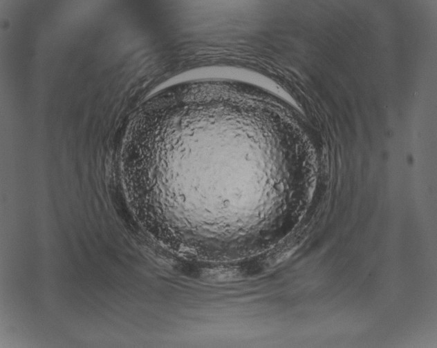 X0000070190511200605301316