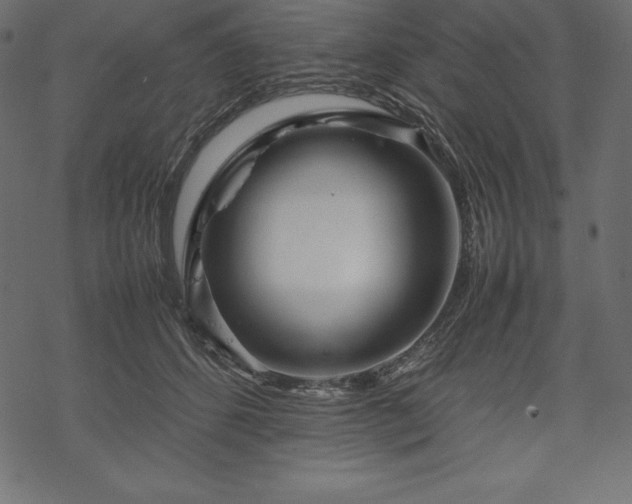 X0000070190512200605301316