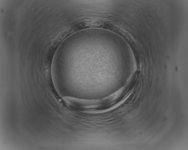 X0000070190513200605301316