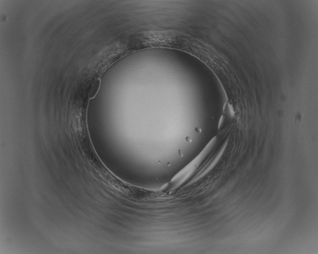 X0000070190514200605301316