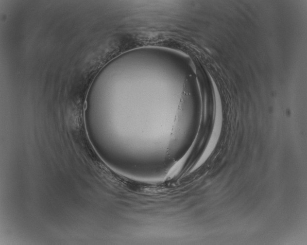 X0000070190515200605301316