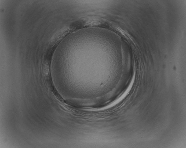 X0000070190517200605301316