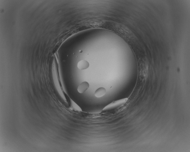 X0000070190518200605301316