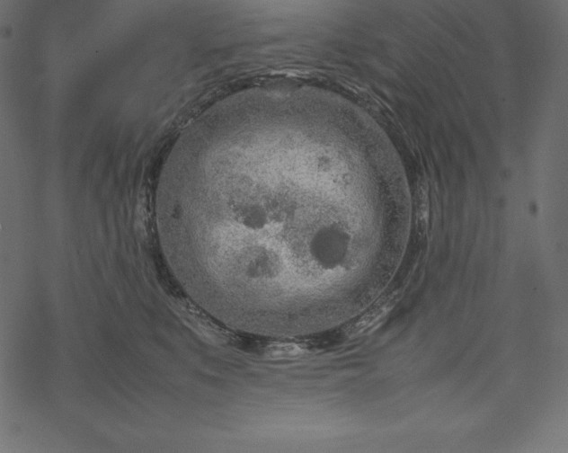 X0000070190519200605301316