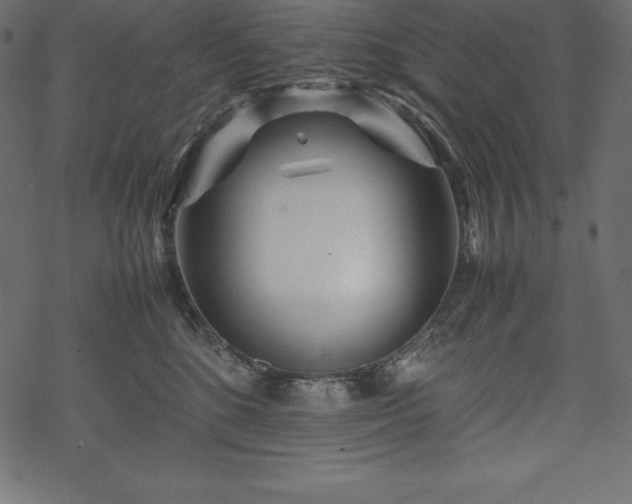 X0000070190520200605301316