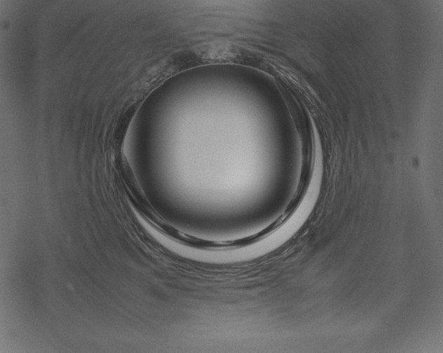 X0000070190521200605301316