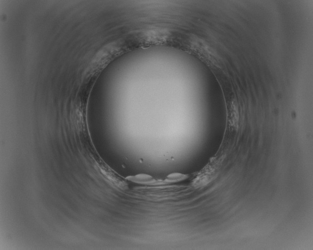 X0000070190522200605301316