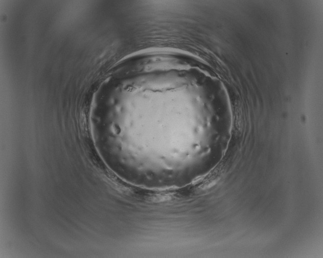 X0000070190523200605301316