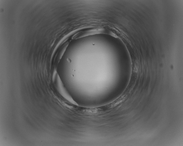 X0000070190524200605301316