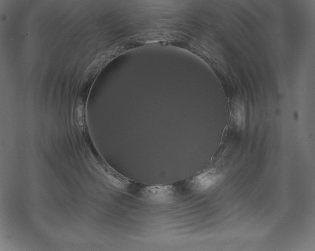 X0000070190526200605301316