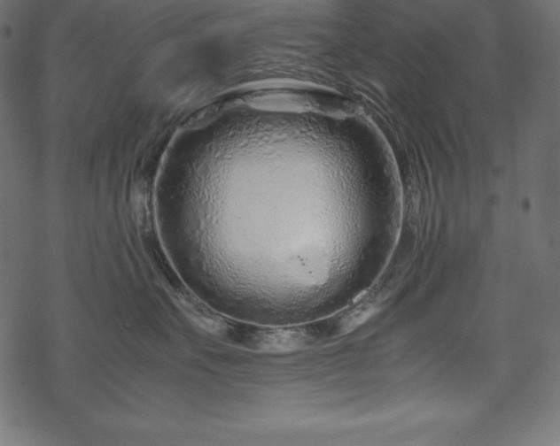 X0000070190527200605301316