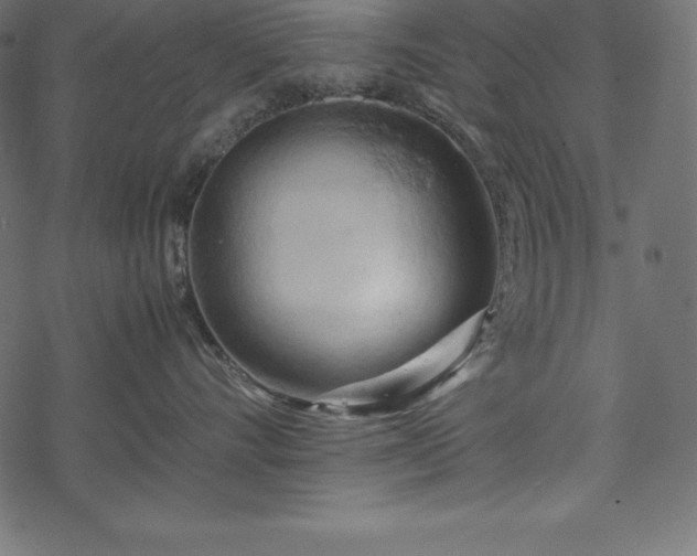 X0000070190528200605301316