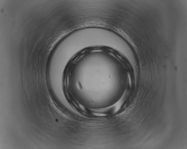 X0000070190530200605301315