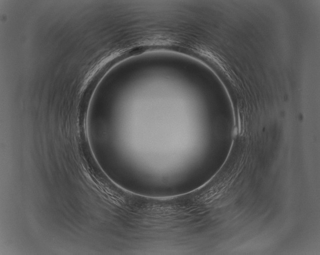 X0000070190531200605301315