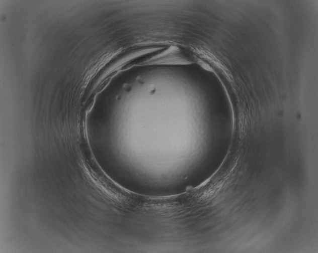 X0000070190533200605301315